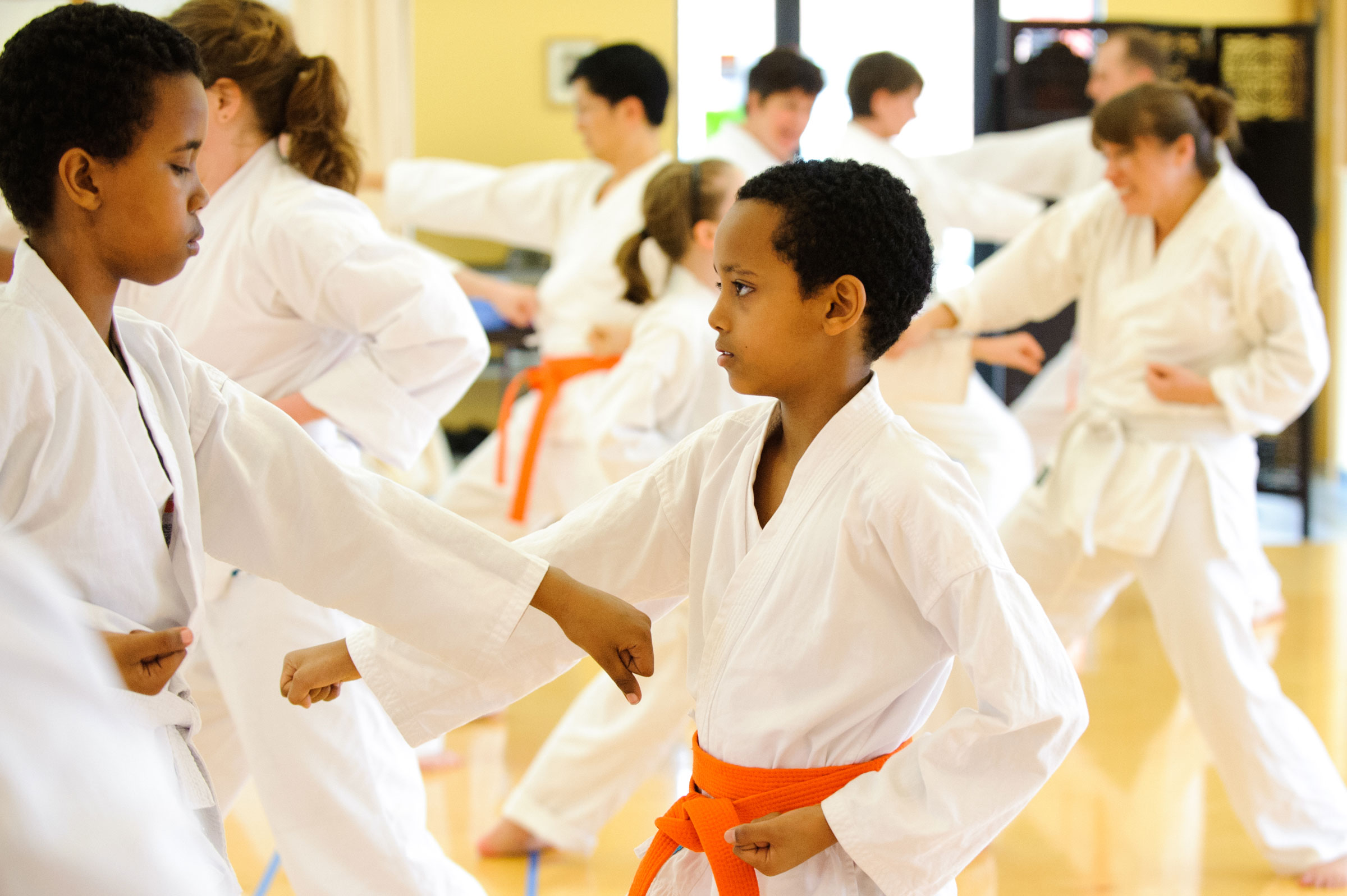Mixed Level Shotokan Karate Class in Minneapolis